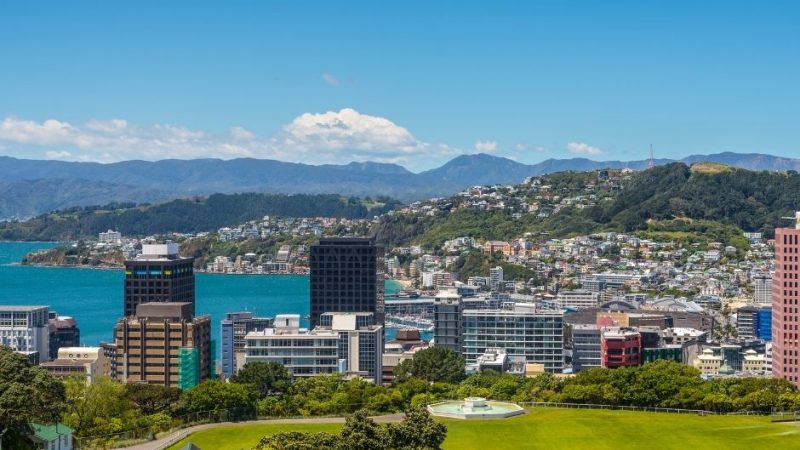 Pictures - Website (1)